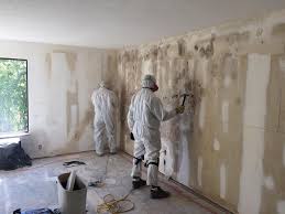 Why You Should Choose Our Mold Remediation Services in Sandy Oaks, TX